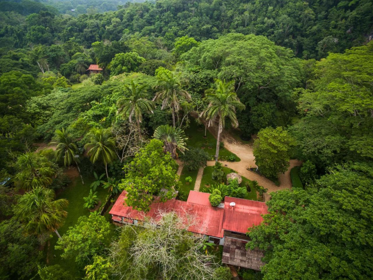 Sweet Songs Jungle Lodge San Ignacio Exterior photo